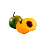 Lúcuma - Lucuma