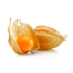 Aguaymanto - Golden Berry